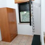 Rent 3 bedroom apartment of 50 m² in Soverato