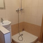 Rent 1 bedroom apartment of 27 m² in Bruntál