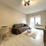 Rent 1 bedroom apartment of 30 m² in Nowe