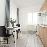Pronajměte si 1 ložnic/e byt o rozloze 44 m² v Luby