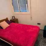 Rent a room in Alfauir