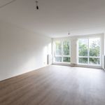 Rent 1 bedroom apartment of 41 m² in Delft