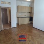 Rent 2 bedroom apartment of 44 m² in Ceské Budejovice