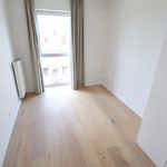 Rent 3 bedroom apartment in Schaarbeek
