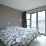 Rent 1 bedroom apartment in Anzegem