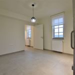 Rent 1 bedroom apartment of 50 m² in Dendermonde