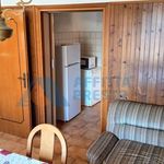 Rent 2 bedroom apartment of 100 m² in Cesena