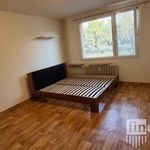 Rent 1 bedroom apartment of 38 m² in Hradec Králové
