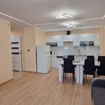 Rent 2 bedroom apartment of 46 m² in Stalowa Wola