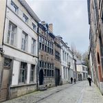 Huur 1 slaapkamer appartement in Namur