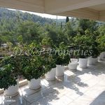 Rent 4 bedroom apartment of 212 m² in Athens
