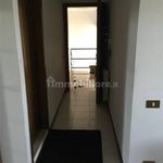 Rent 1 bedroom apartment of 35 m² in Pisa