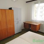 Pronajměte si 1 ložnic/e byt o rozloze 16 m² v Brno
