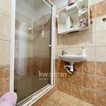 Rent 1 bedroom apartment of 35 m² in Bílina