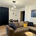 Rent 1 bedroom apartment of 10 m² in toulouse
