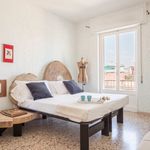 Rent 1 bedroom apartment of 65 m² in Firenze