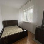 Rent 5 bedroom house of 116 m² in Sosnowiec