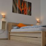 Miete 1 Schlafzimmer wohnung von 44 m² in Frankfurt