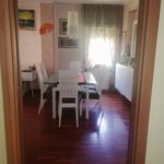Rent 2 bedroom apartment of 65 m² in rome