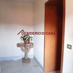 Rent 2 bedroom apartment of 60 m² in Cefalù