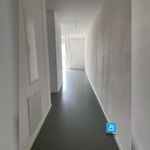 Rent 1 bedroom apartment in Ittenheim