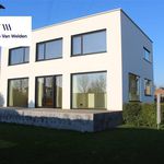 Rent 3 bedroom house of 206 m² in Oudenaarde