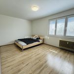 Rent 1 bedroom apartment of 35 m² in Kralupy nad Vltavou