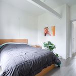 Huur 2 slaapkamer appartement van 80 m² in Oedelem