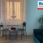 Rent 1 bedroom apartment of 18 m² in Liberec