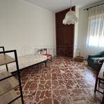 Affitto 5 camera appartamento di 130 m² in Caltanissetta