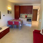 Affitto 1 camera appartamento di 36 m² in Torino