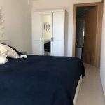 Rent 2 bedroom apartment of 50 m² in Porto Recanati