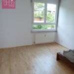 Rent 4 bedroom apartment of 170 m² in Vienna