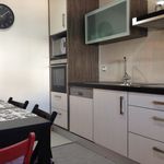 Rent 1 bedroom apartment of 65 m² in Praia de Buarcos