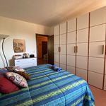 Affitto 1 camera appartamento di 50 m² in Empoli