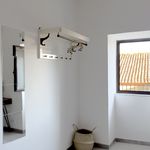 Rent 2 bedroom apartment of 2 m² in Catania