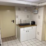 Rent 1 bedroom apartment of 30 m² in Teltow