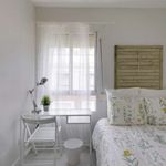 Alquilo 2 dormitorio apartamento de 50 m² en Madrid
