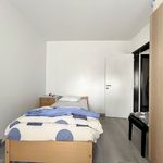 Huur 2 slaapkamer appartement in Eeklo