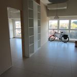 house for rent in             
             -