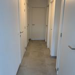 Rent 2 bedroom apartment of 73 m² in Waregem
