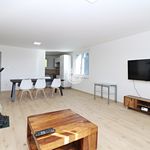Rent 1 bedroom apartment in Ledeč nad Sázavou
