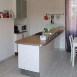 Rent 2 bedroom apartment of 40 m² in Torino