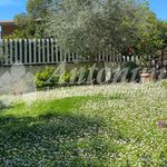 Rent 1 bedroom apartment of 230 m² in Roma