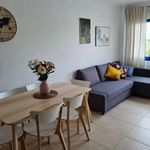 Alquilo 2 dormitorio apartamento de 78 m² en Alicante