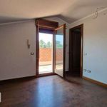 Rent 6 bedroom house of 365 m² in Roma