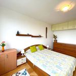 Rent 2 bedroom apartment of 57 m² in Boháňka