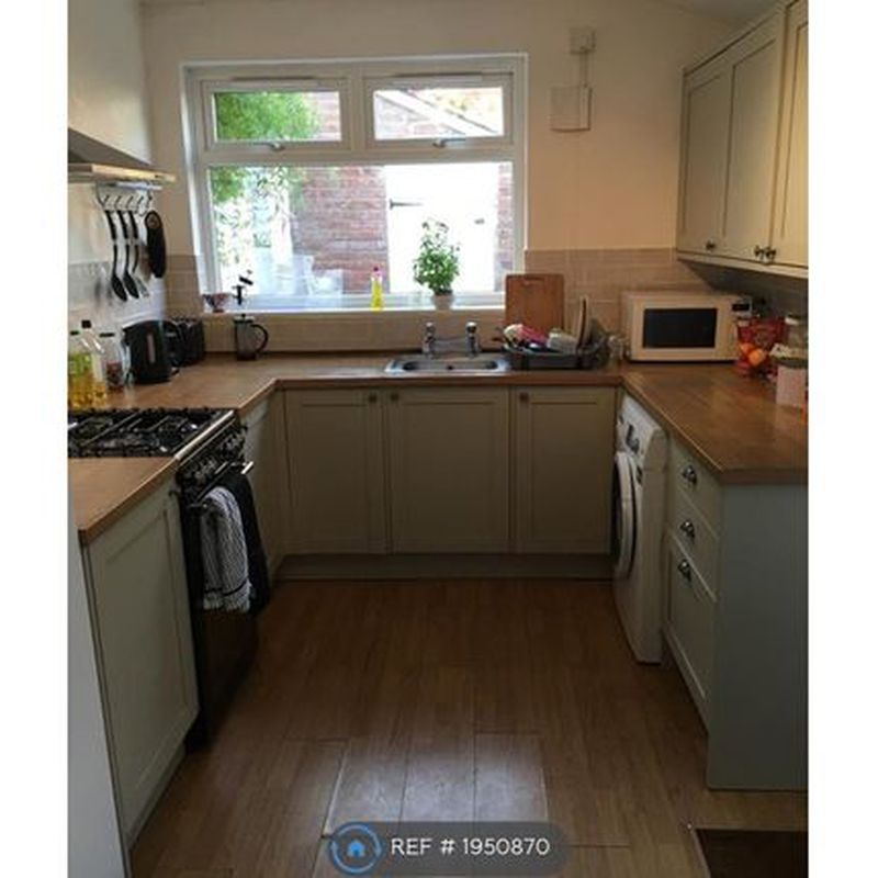Terraced house to rent in South Lawn Terrace, Exeter EX1 Polsloe Bridge