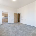 Pronajměte si 1 ložnic/e byt o rozloze 43 m² v Sokolov