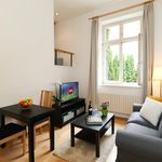 Rent 2 bedroom apartment of 34 m² in Praha